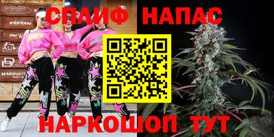 МДПВ Канаш