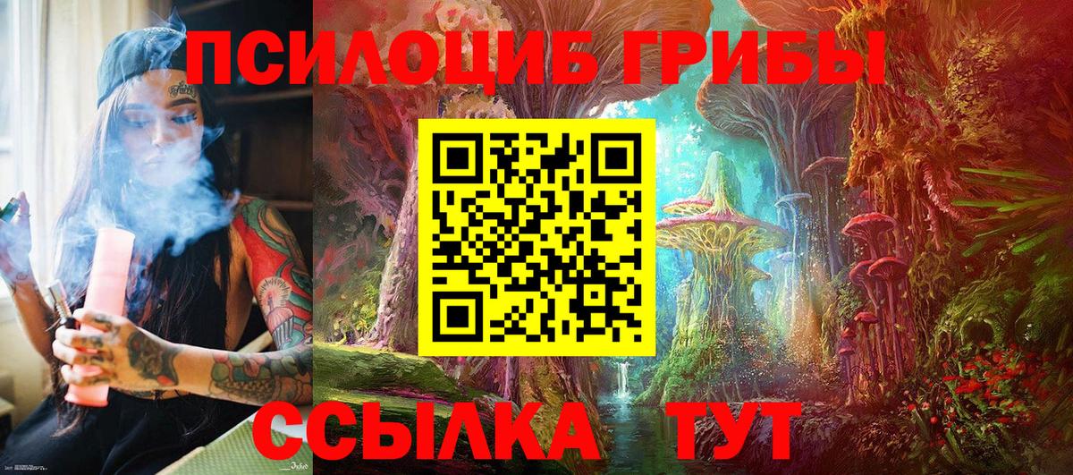 наркотики  Вход с VPN  Кстово  Псилоцибиновые грибы прущие грибы  Псилоцибиновые грибы Magic Shrooms 